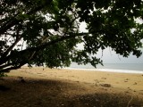 Punta Uva
