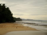 Punta Uva