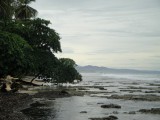 Punta Uva