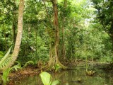 Parque Nacional Manzanillo