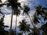 Parque Nacional Manzanillo