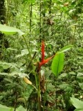 Parque Nacional Manzanillo