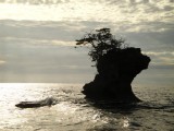 Parque Nacional Manzanillo