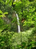Parque Nacional La Fortuna