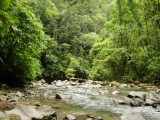 Parque Nacional La Fortuna