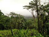 Parque Nacional Arenal