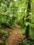 Parque Nacional Arenal
