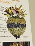 Eerste oogst traditie Unesco