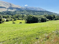IMG_8531
