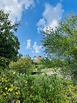 IMG_9859
