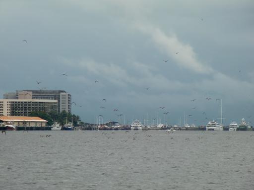 CIMG0701