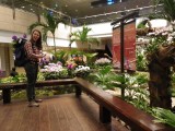 Singapore airport
