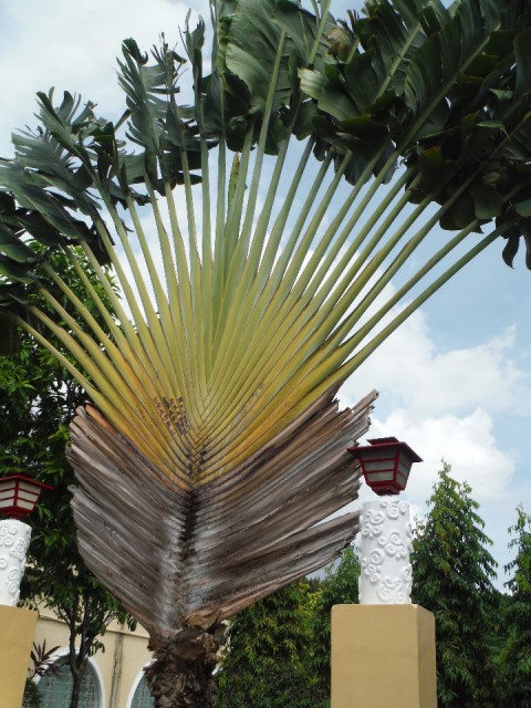 DSCF0091