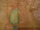 DSCF0146