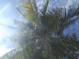 DSCF0271