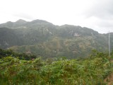 DSCF0667