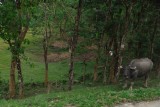 DSCF0677