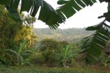 DSCF0688