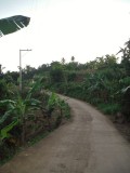 DSCF0692