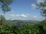 DSCF0702