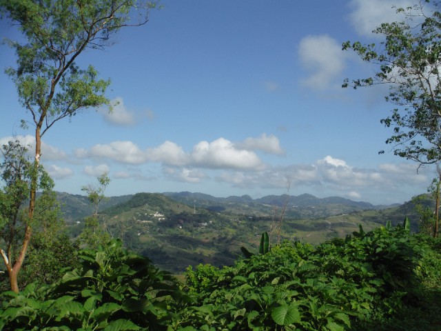 DSCF0702