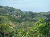 DSCF0704