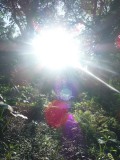 DSCF0706