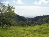 DSCF0732
