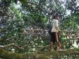 DSCF0736