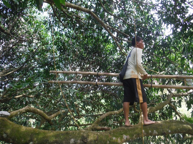 DSCF0736
