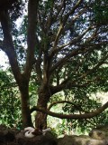 DSCF0741