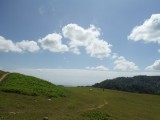 DSCF0718