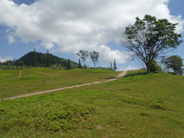 DSCF0722