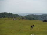 DSCF0726