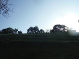 DSCF0779
