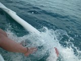 DSCF1407