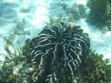 DSCF1653
