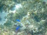 RIMG5817