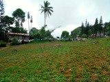 DSCF2838