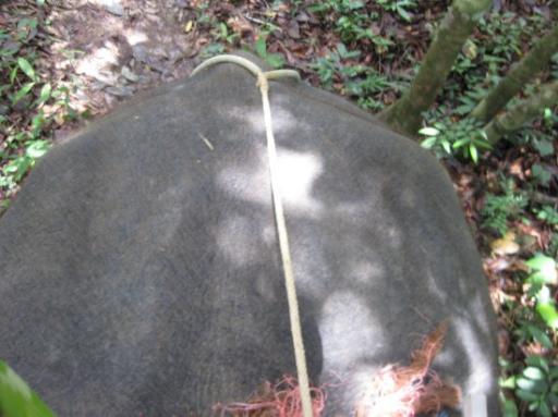 IMG_0269-550