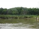 IMG_0556-550