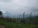 IMG_0598-550