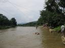 IMG_0617-550