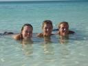 3 zeehondjes