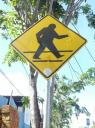 oversteekplaats voor bigfoots