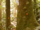 DSCF1288[2]