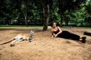 kangaroo
