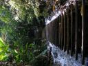 Stairway to heaven? Tat Kuang Si waterfalls Luang Prabang (Laos)