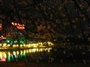 Guiling by night with flowers (China)
