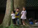 Mt Emei Shan - kids and tree